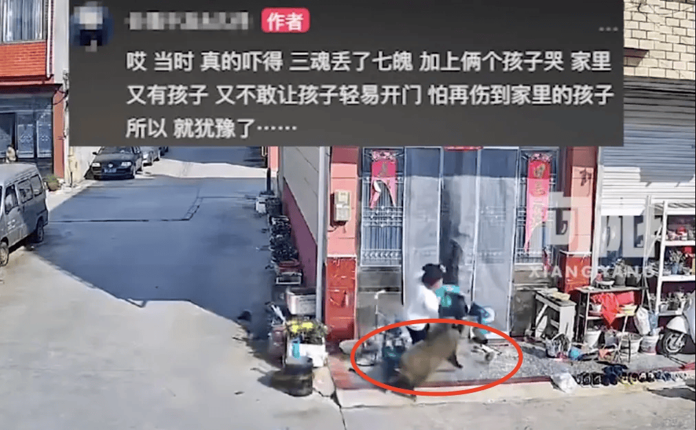街头横冲直闯<strong></p>
<p>矿机以太坊</strong>，抱娃女子被撞伤，警方：已被特警击毙