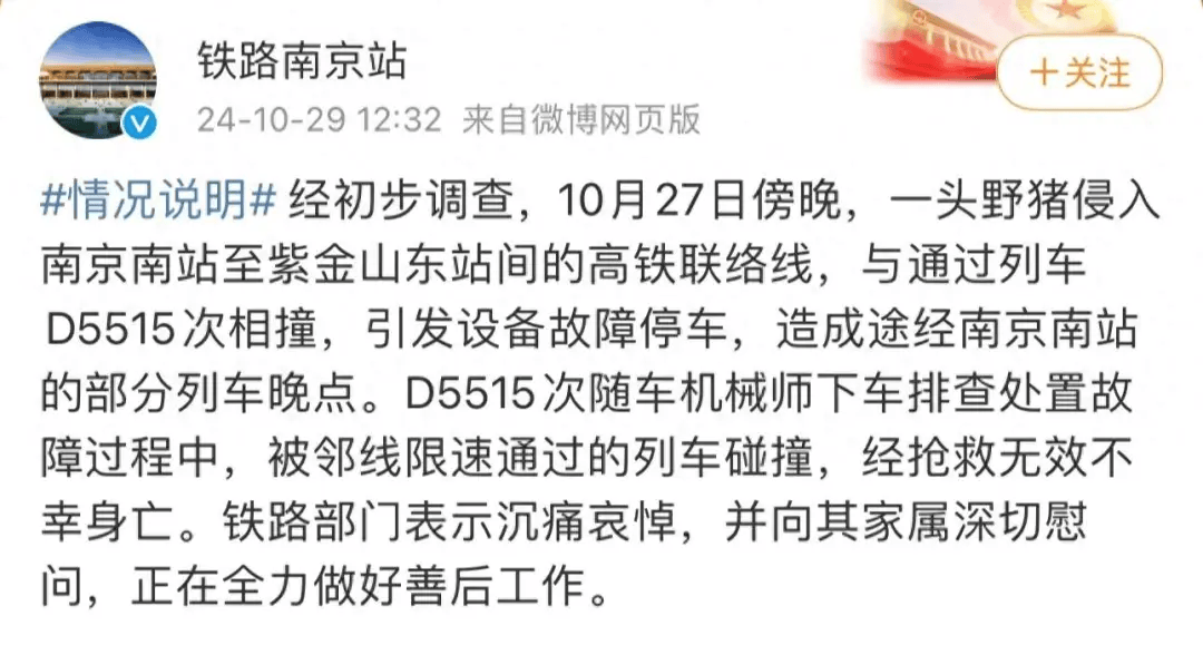 街头横冲直闯<strong></p>
<p>矿机以太坊</strong>，抱娃女子被撞伤，警方：已被特警击毙