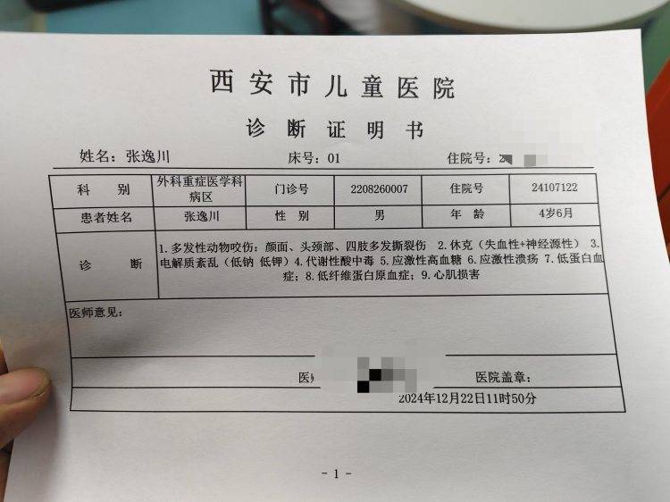西安4岁男童遭两恶犬袭击重伤<strong></p>
<p>eth币价格</strong>，警方启用无人机搜寻现场