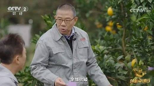 2024年末央视再度专访钟睒睒<strong></p>
<p>比特币</strong>，背后有何深意？