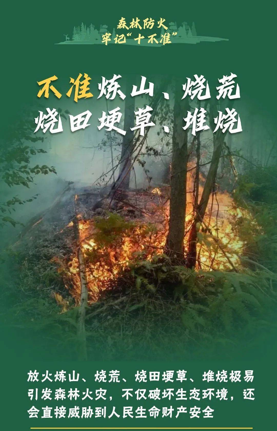 已致4名消防员遇难<strong></p>
<p>比特币现金</strong>！多地进入“灾难状态”