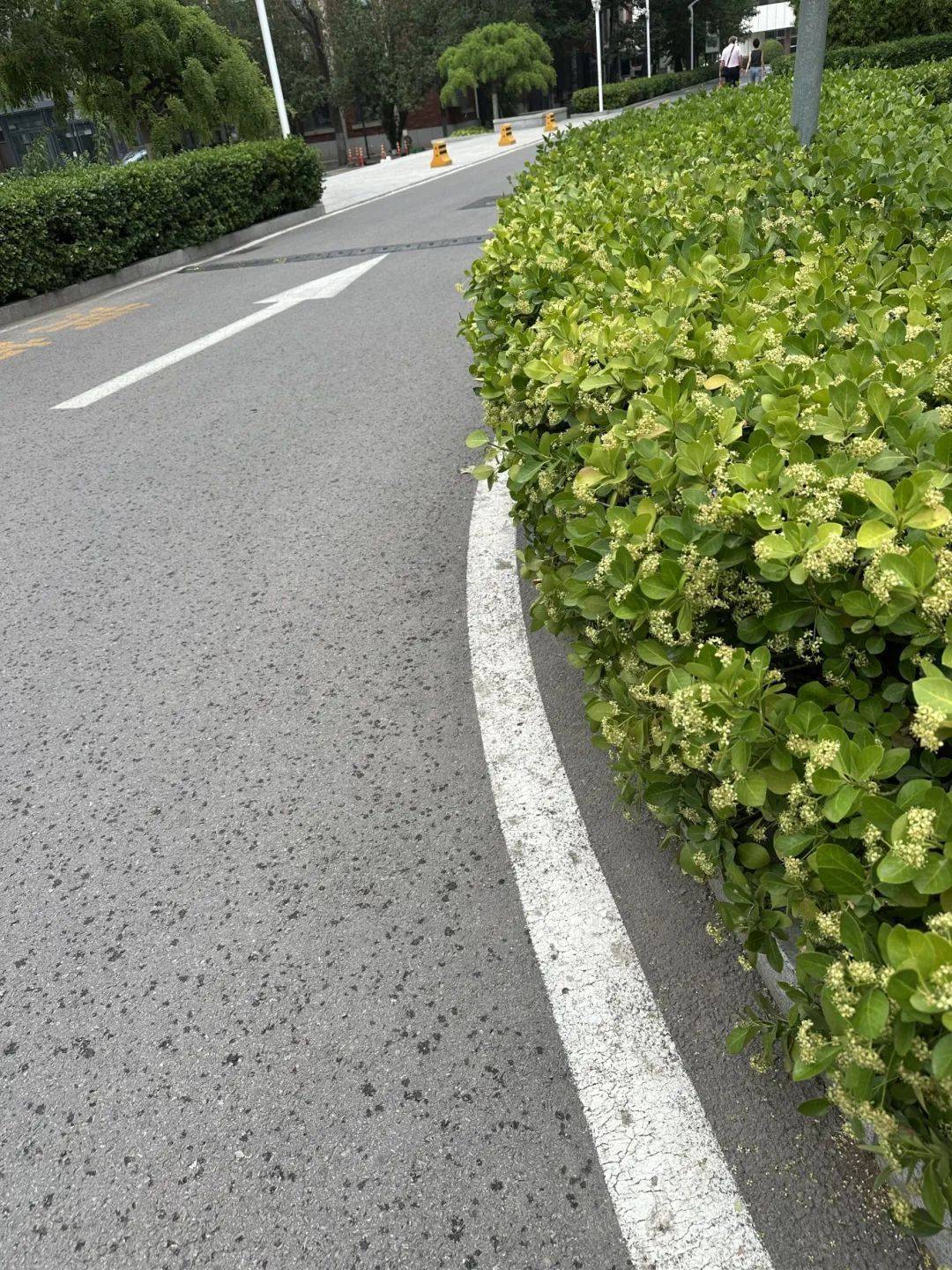 下雨了<strong></p>
<p>贺岁</strong>！天津接下来十天都是……