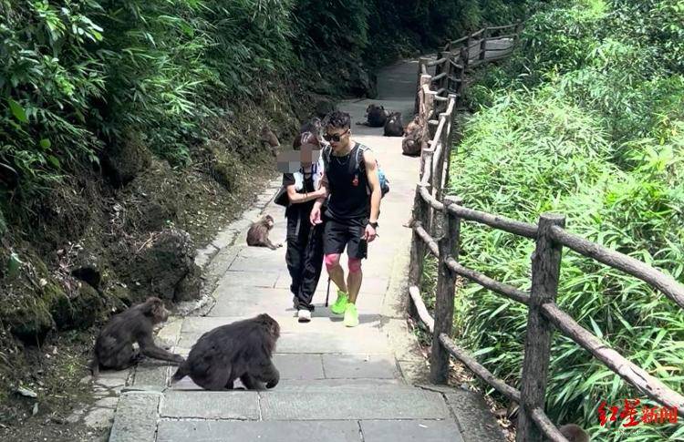 揭秘峨眉山陪爬团队：已陪爬千名游客九成为女性<strong></p>
<p>狗狗币价格今日行情</strong>，不会主动拉背扛抱，主要保障安全