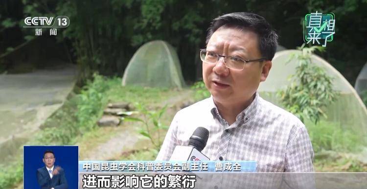网传萤火虫濒临灭绝<strong></p>
<p>火币官网</strong>，是真的吗？