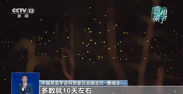 网传萤火虫濒临灭绝<strong></p>
<p>火币官网</strong>，是真的吗？