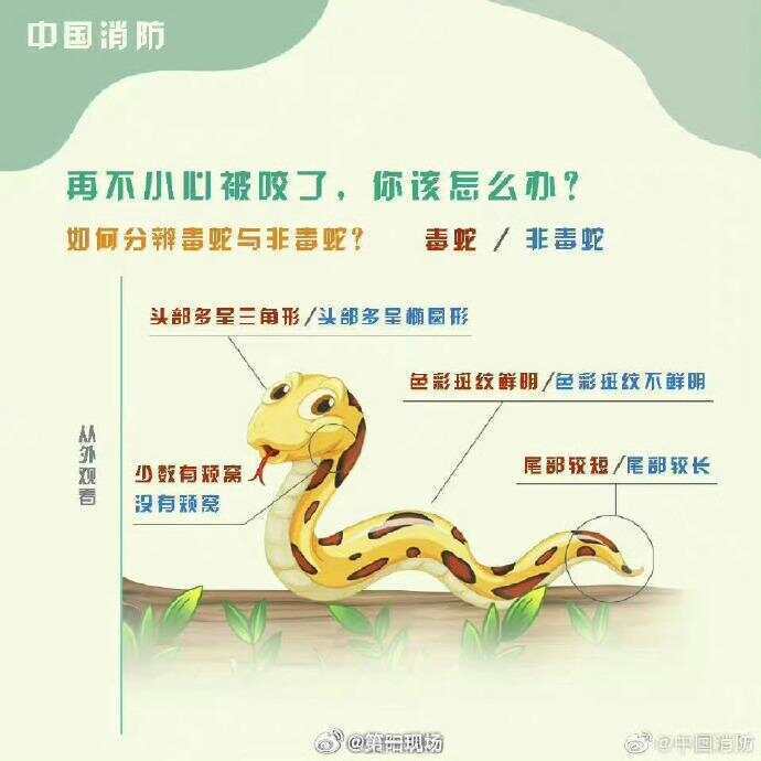 广东上演现实版贪吃蛇！汕尾惊现20斤大蟒蛇生吞牛犊；不幸遇到蛇怎么办<strong></p>
<p>火币钱包</strong>，快来看看这份手册