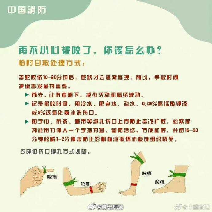 广东上演现实版贪吃蛇！汕尾惊现20斤大蟒蛇生吞牛犊；不幸遇到蛇怎么办<strong></p>
<p>火币钱包</strong>，快来看看这份手册
