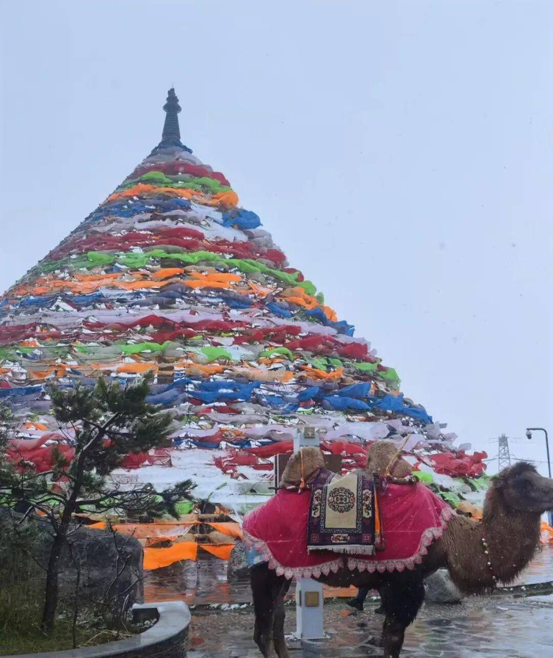 多地突降大雪<strong></p>
<p>莱特币价格今日行情</strong>！