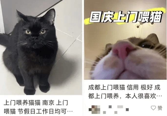 这个需求激增！一男子连接270单<strong></p>
<p>莱特币行情</strong>，其中一笔收费8100元