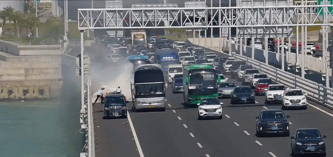 粤B·97821D、粤Z·AG85澳、粤T·91736<strong></p>
<p>莱特币行情</strong>，你们被拍下来了！