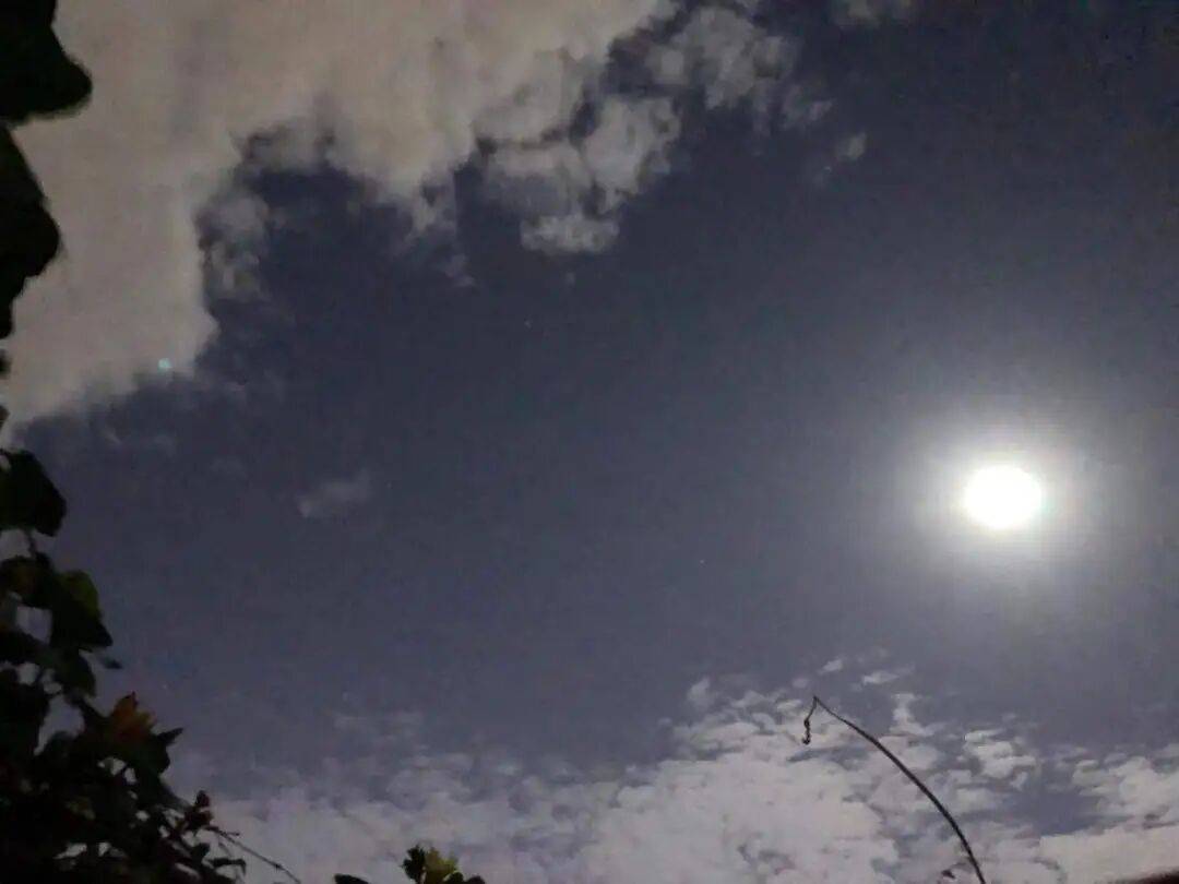 没有什么能阻挡！今天<strong></p>
<p>莱特币行情</strong>，广西人就是要回家！