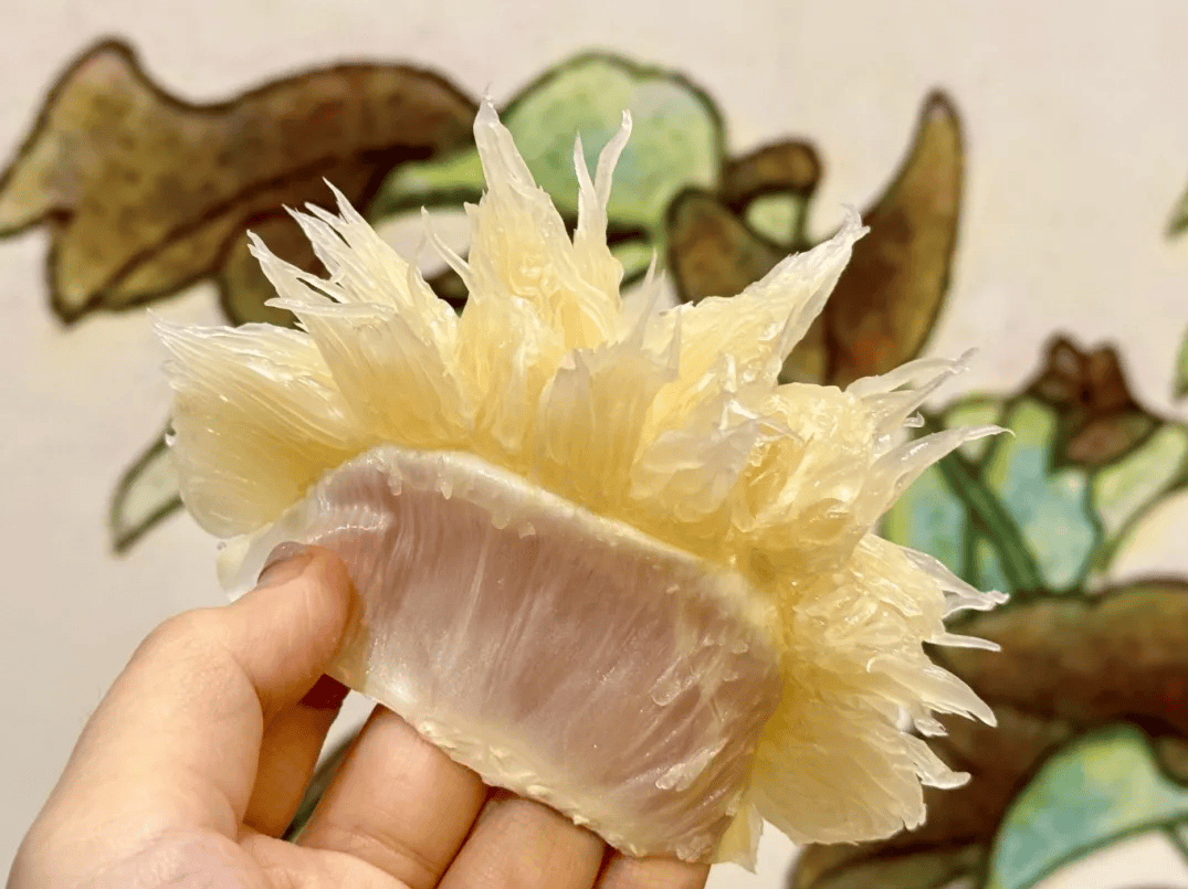 没有什么能阻挡！今天<strong></p>
<p>莱特币行情</strong>，广西人就是要回家！