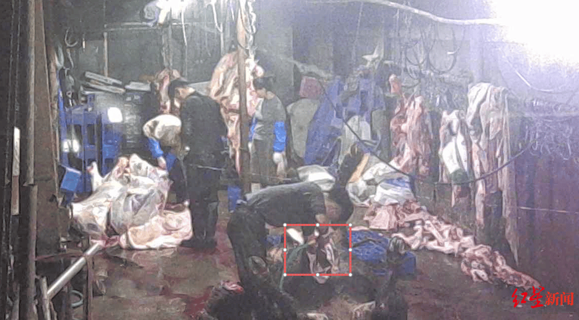 注水牛肉调查:屠宰场藏身农家院<strong></p>
<p>欧易交易所app下载</strong>,深夜切开牛胸注水数分钟,牛肉连夜送批发市场