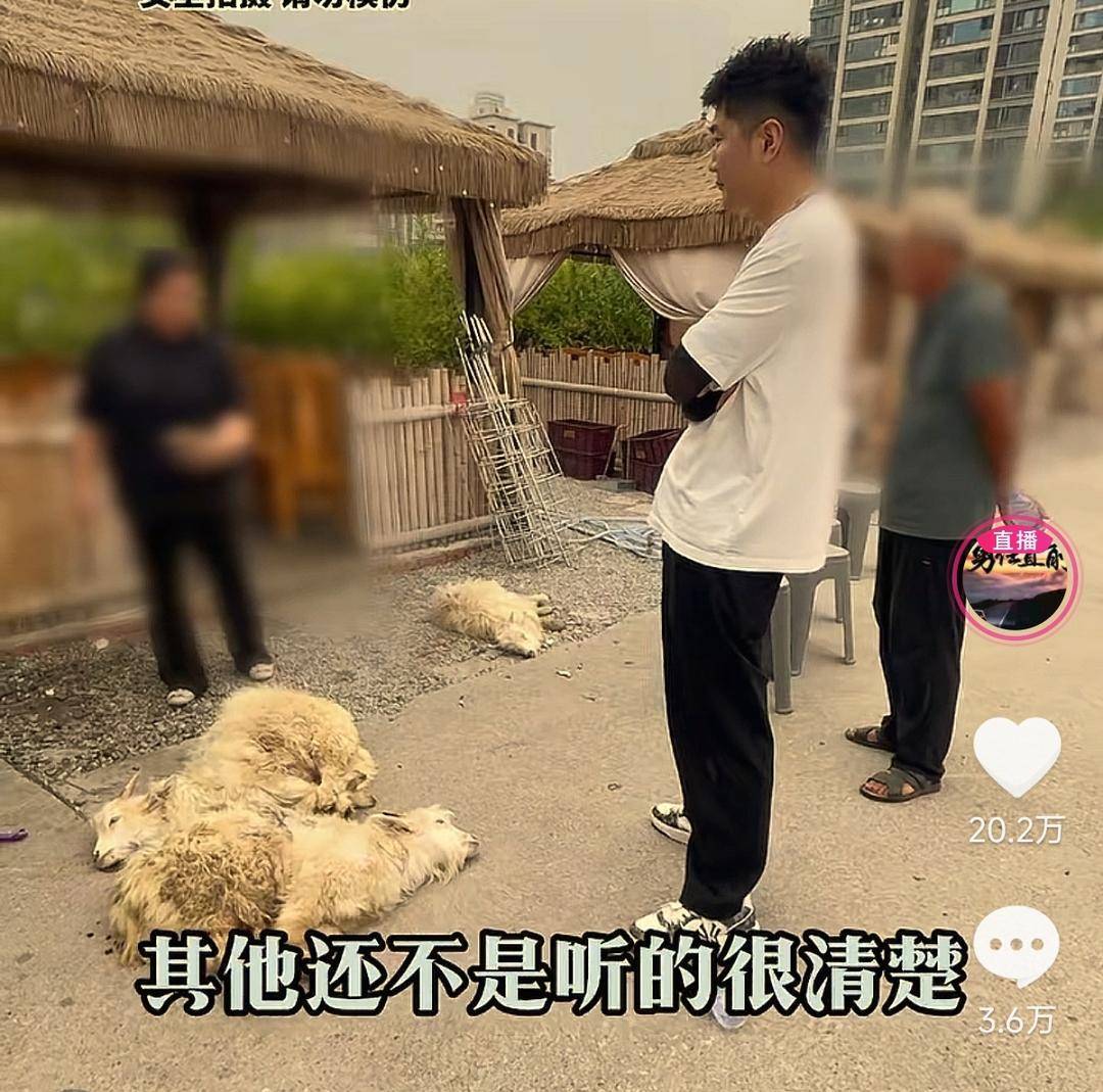 60斤活羊实际只有30多斤<strong></p>
<p>欧易app下载</strong>！博主打假重庆两家烤全羊店获“退一赔三”