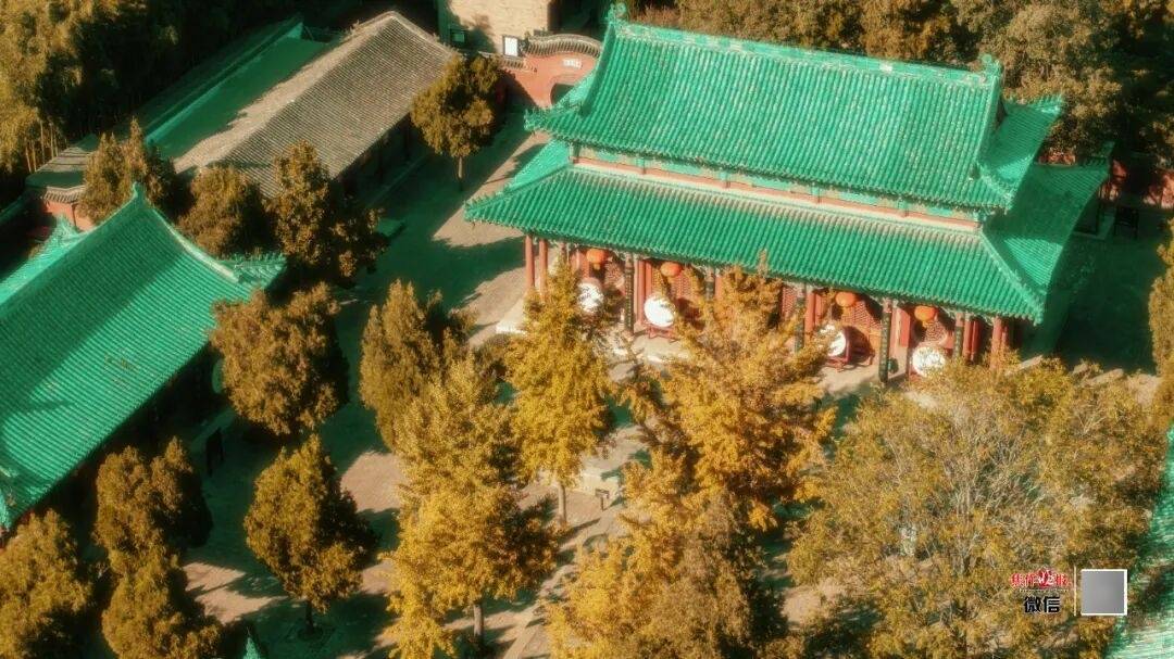 银杏金黄<strong></p>
<p>欧易交易平台</strong>！铺满焦作的秋天！