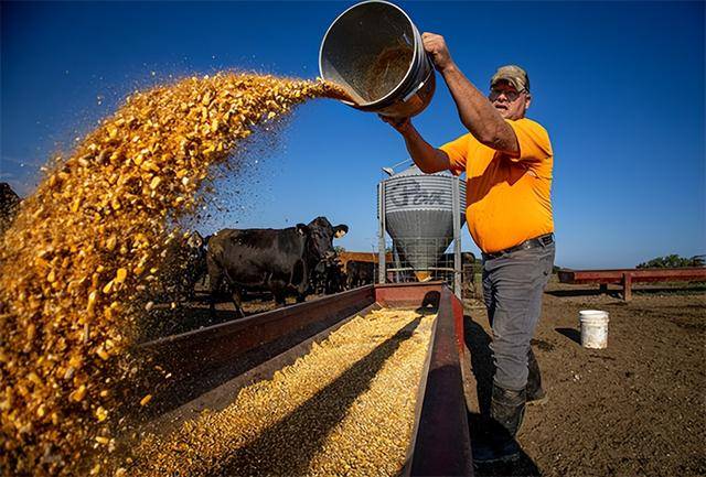 又输给了李成钢<strong></p>
<p>易欧app</strong>，贝森特承诺：美方不再考虑对华加征100%关税