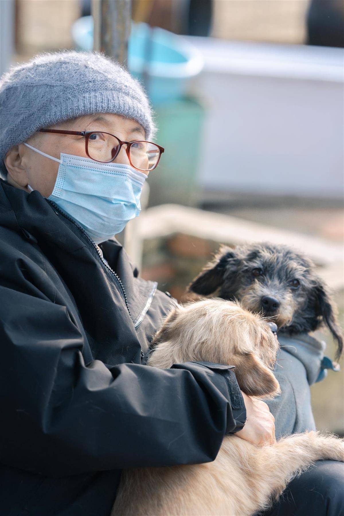 合肥卖房救助流浪狗的魏阿姨离世<strong></p>
<p>欧易okex下载</strong>，病中仍然惦记着基地的600只流浪狗，工人：不敢相信世上还有这样执着的人