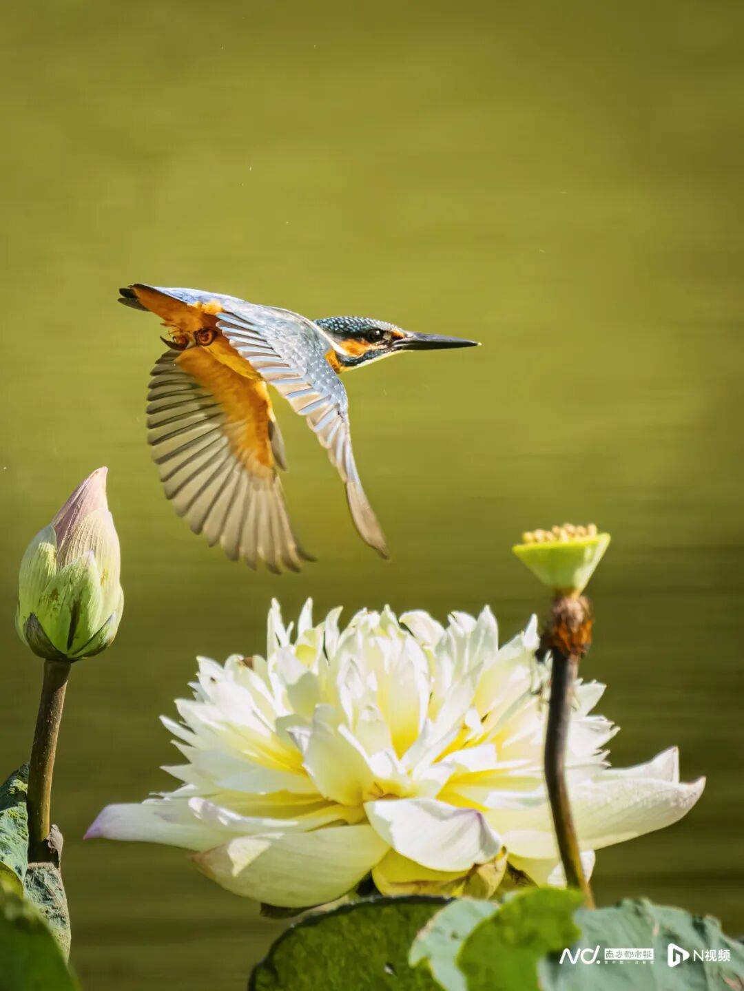 东莞最新发布:将严厉打击这些行为<strong></p>
<p>欧易okex</strong>!