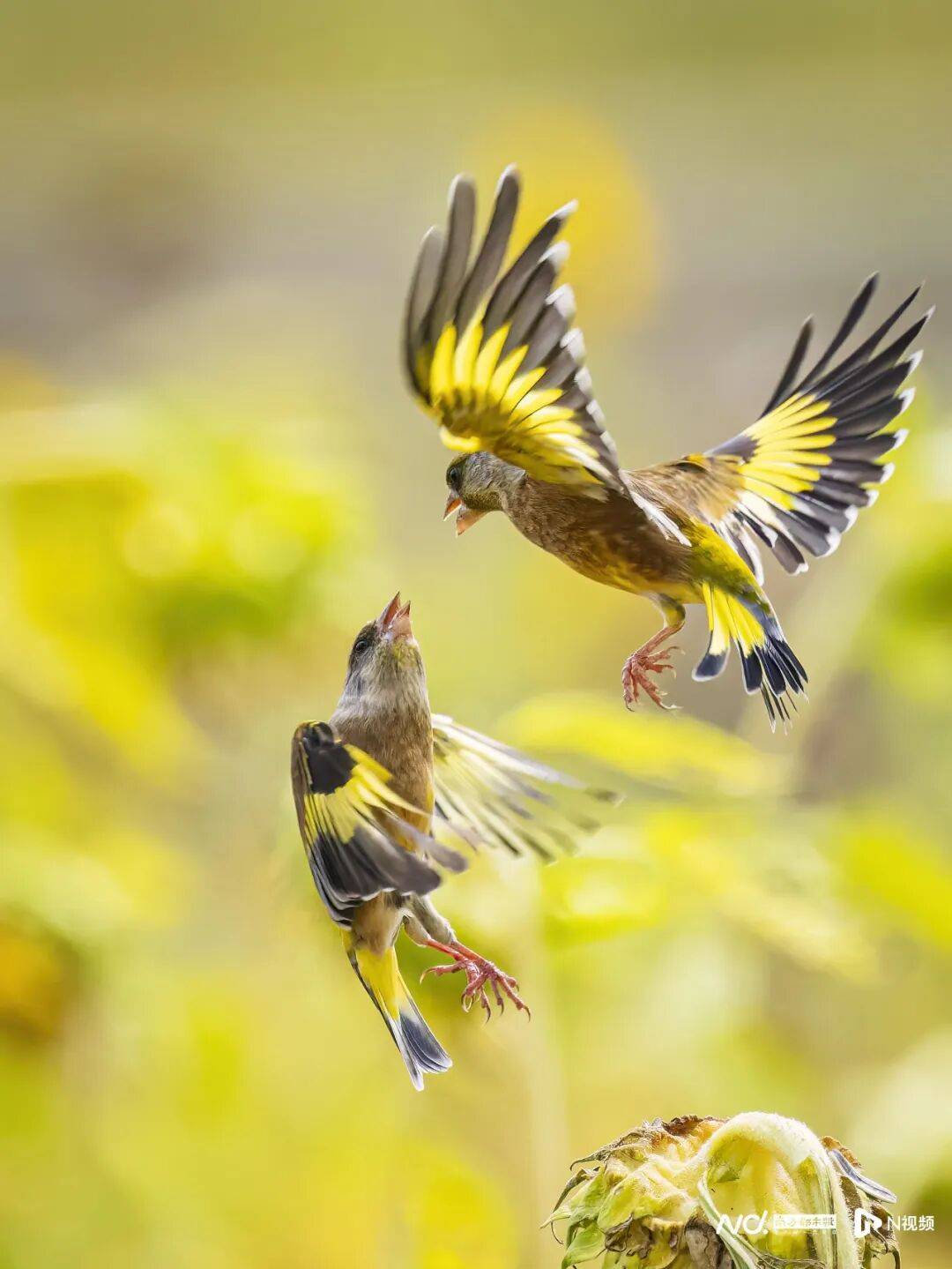 东莞最新发布:将严厉打击这些行为<strong></p>
<p>欧易okex</strong>!