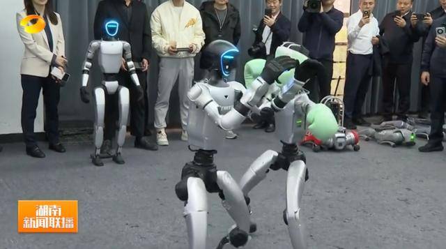 湖南省省长、浙江省省长<strong></p>
<p>okex欧易</strong>,一同观看机器人表演