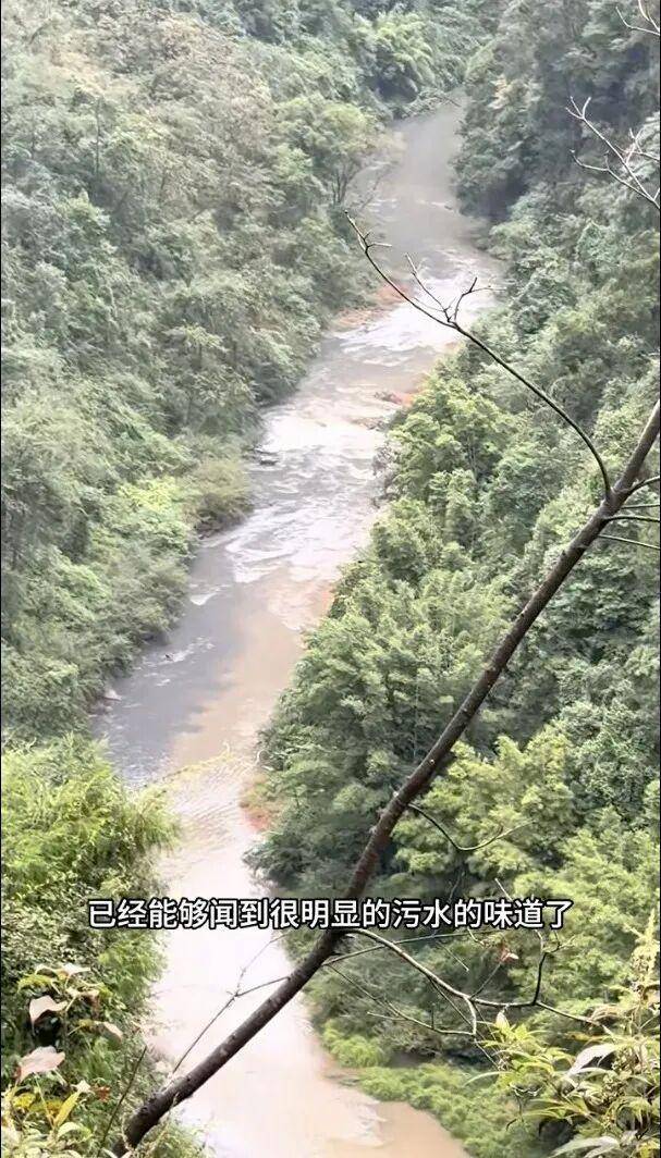 重庆通报:坚决查处<strong></p>
<p>欧易网</strong>,绝不姑息