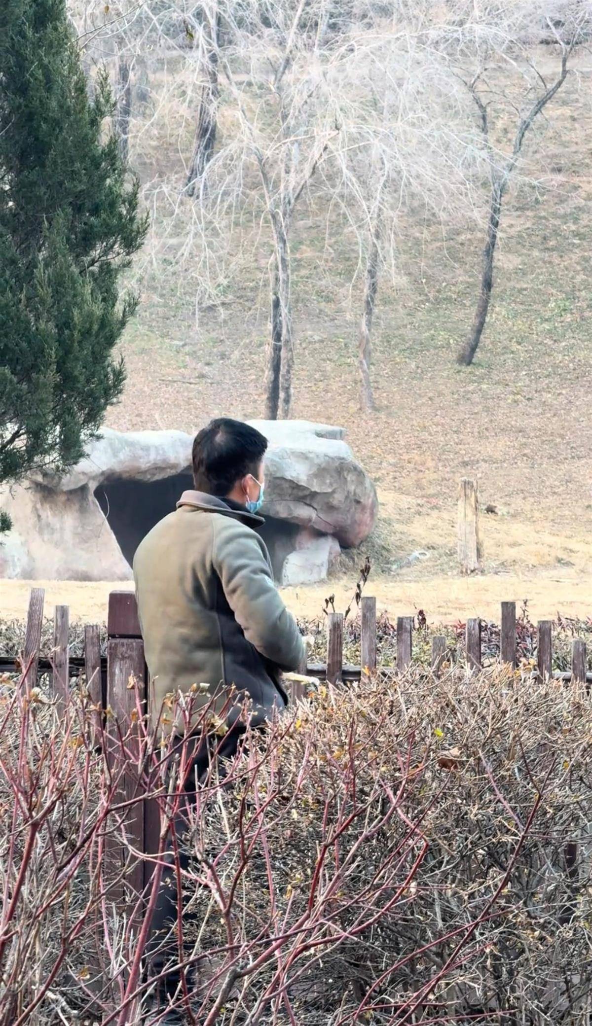 沈阳一男子动物园内用弹弓射老虎<strong></p>
<p>欧易靠谱吗</strong>,目击者称其“填装了弹丸”,打完后老虎爬起来了,园方:正在核实情况