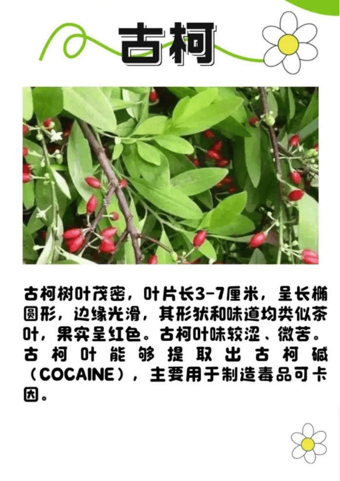 悬赏1500万美金!前奥运选手涉多起案件<strong></p>
<p>欧意</strong>,被列入十大通缉犯