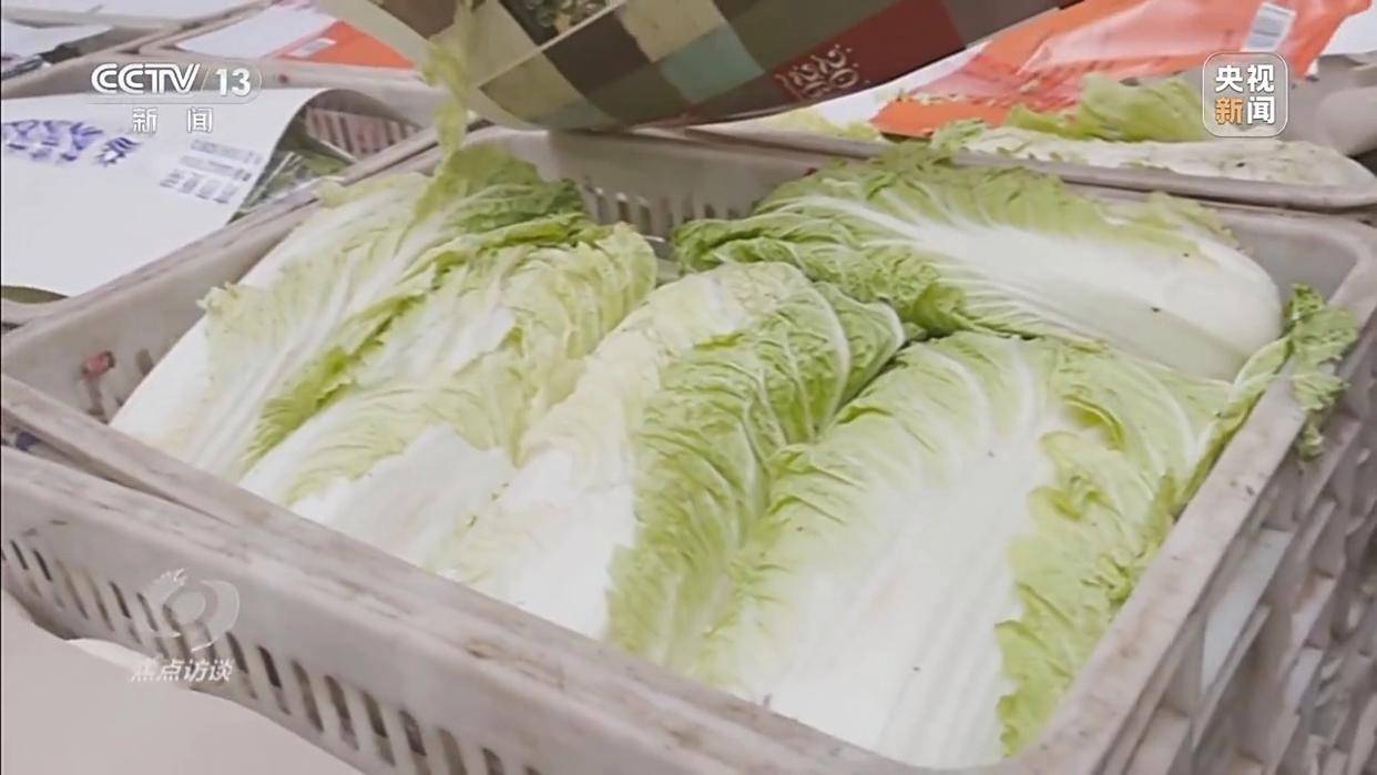 单棵售价超百元<strong></p>
<p>欧意官网</strong>，起底“套牌白菜”背后的销售套路