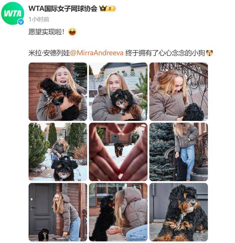 “小米辣”终于有了自己的小狗!曾说养狗是赢球的动力<strong></p>
<p>欧意官网</strong>,WTA官方发“贺信”:愿望实现啦!