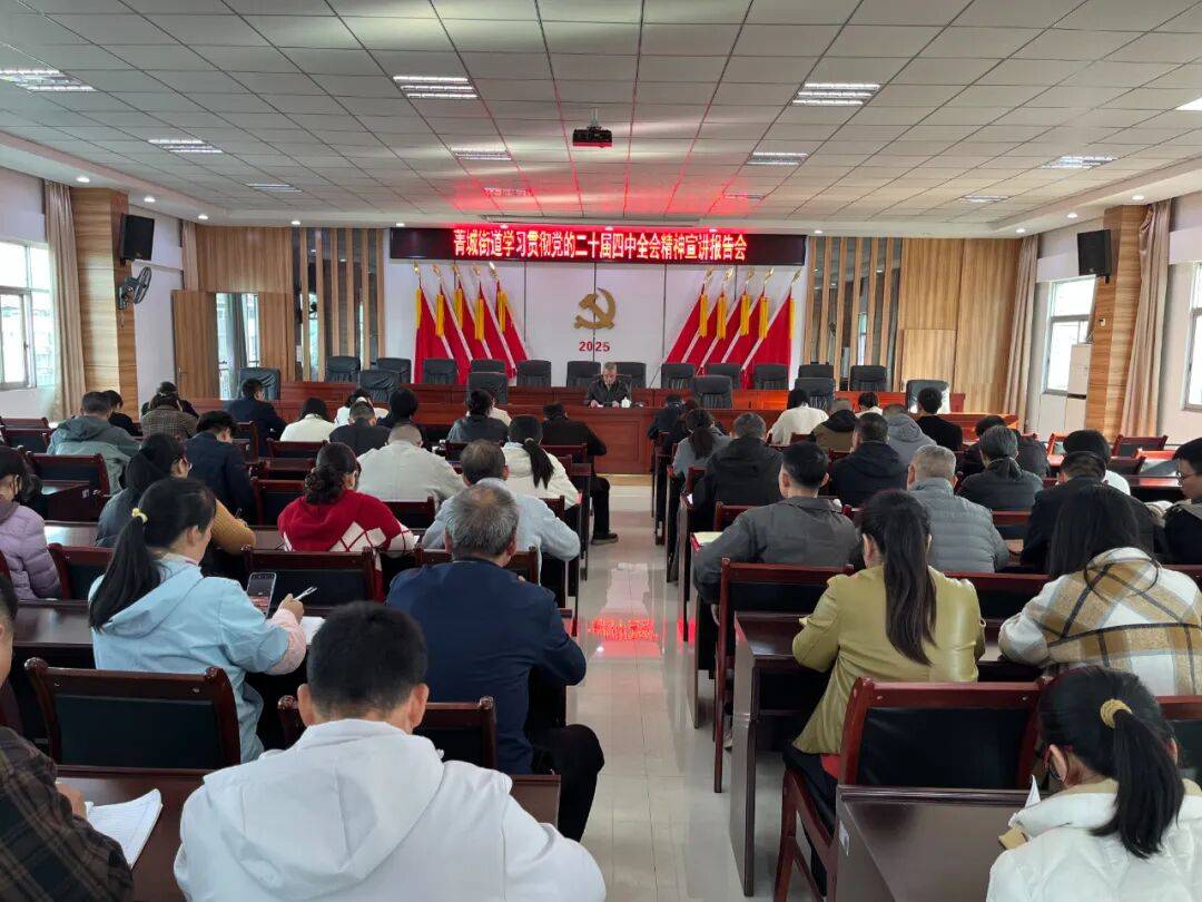 菁城街道深入学习贯彻党的二十届四中全会精神宣讲报告会顺利举行