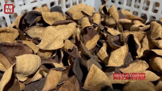 30天速成陈皮<strong></p>
<p>数字货币交易所</strong>,成本仅70元,利润超成本10倍以上!央视起底陈皮跨省造假产业链