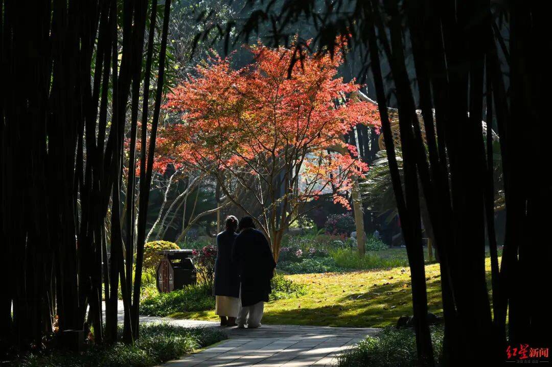 我国已进入拉尼娜状态<strong></p>
<p>数字货币交易</strong>!四川今冬或“前暖后冷”