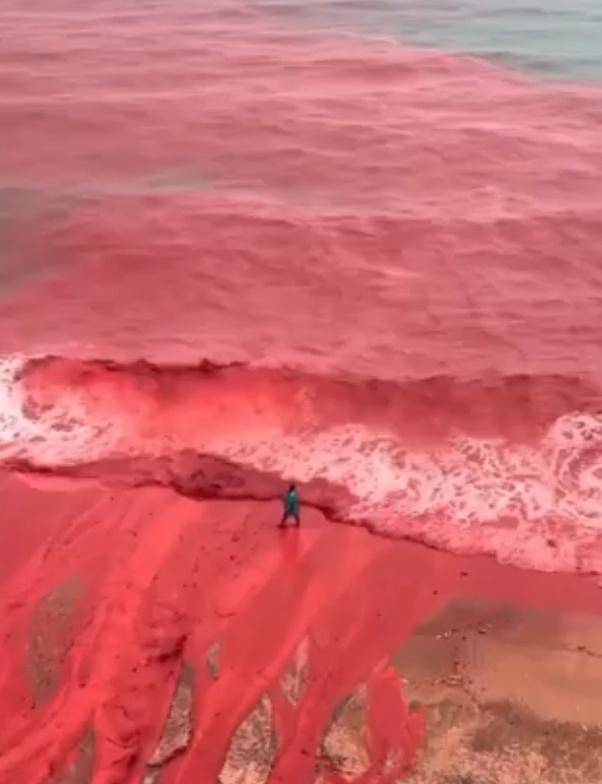 罕见!伊朗霍尔木兹岛遭遇强降雨<strong></p>
<p>数字化货币</strong>,部分海域变成“血色海洋”