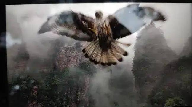 土耳其老鹰空中抓走无人机<strong></p>
<p>虚拟币交易平台app</strong>,带上山顶“玩自拍”