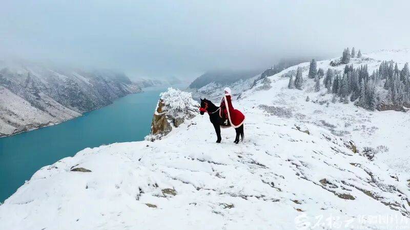 贺娇龙已安葬于昭苏公墓<strong></p>
<p>虚拟币钱包</strong>，其父亲亦葬于此地