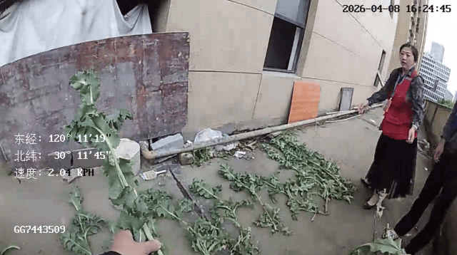 杭州一小区发现35株罂粟！保安巡逻起疑后报警<strong></p>
<p>虚拟货币行情</strong>，警方：2位老人在菜盆、花盆混种，隐蔽性极强，分别罚款300元、400元